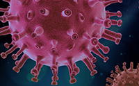 Abbildung des Corona-Virus Abbildung des Corona-Virus